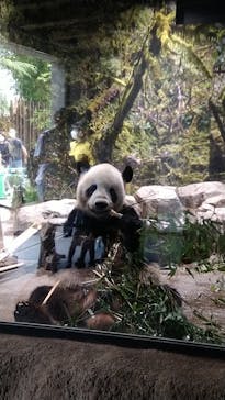 恩賜上野動物園に投稿された画像（2024/8/7）