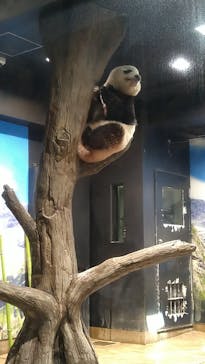 恩賜上野動物園に投稿された画像（2024/8/7）