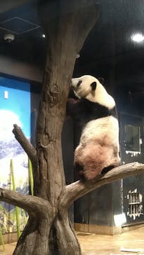 恩賜上野動物園に投稿された画像（2024/8/7）