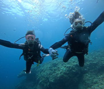 武藤潜水に投稿された画像（2024/8/7）