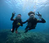 武藤潜水に投稿された画像（2024/8/7）