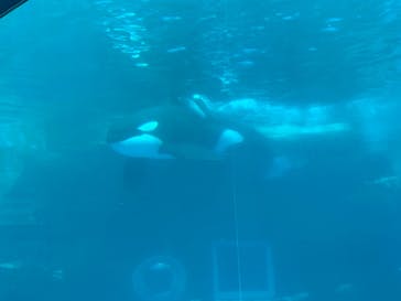 名古屋港水族館に投稿された画像（2024/8/7）