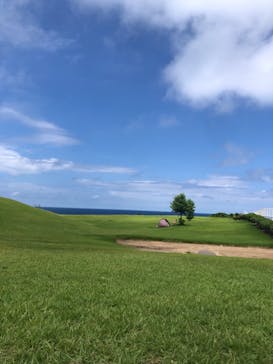 芝政ワールドに投稿された画像（2024/8/7）