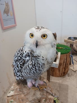 アニタッチみなとみらいに投稿された画像（2024/8/7）