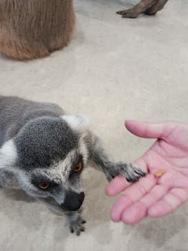 アニタッチみなとみらいに投稿された画像（2024/8/7）