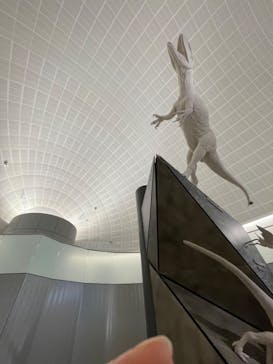 福井県立恐竜博物館に投稿された画像（2024/8/7）