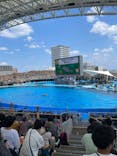 名古屋港水族館に投稿された画像（2024/8/7）