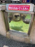 下田海中水族館に投稿された画像（2024/8/7）