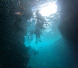 沖縄マリンサービス碧に投稿された画像（2024/8/7）