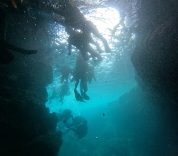 沖縄マリンサービス碧に投稿された画像（2024/8/7）