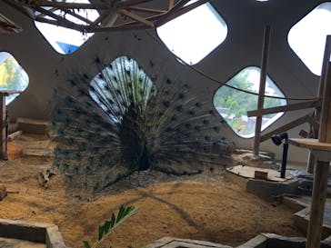 NIFREL（ニフレル）に投稿された画像（2024/8/7）