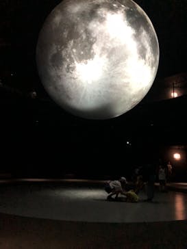 NIFREL（ニフレル）に投稿された画像（2024/8/7）