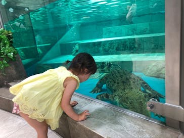 NIFREL（ニフレル）に投稿された画像（2024/8/7）