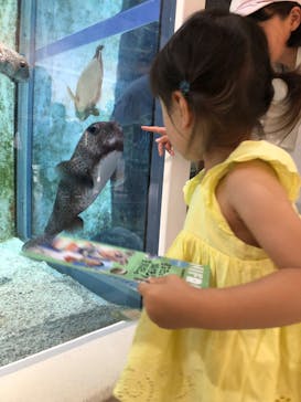 NIFREL（ニフレル）に投稿された画像（2024/8/7）