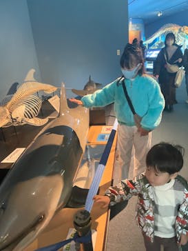 名古屋港水族館に投稿された画像（2024/8/7）