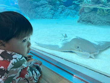 名古屋港水族館に投稿された画像（2024/8/7）