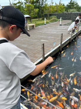 上越市立水族博物館 うみがたりに投稿された画像（2024/8/7）