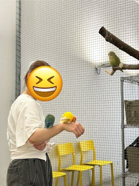 Moff アニマル カフェ イーアス 高尾店に投稿された画像（2024/8/7）