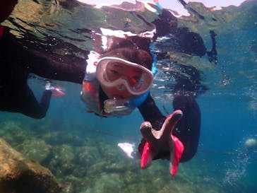 ダイブハウス富戸に投稿された画像（2024/8/4）