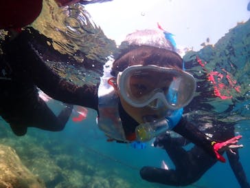 ダイブハウス富戸に投稿された画像（2024/8/4）