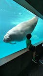 大分マリーンパレス水族館 「うみたまご」に投稿された画像（2024/8/7）