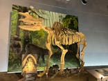 福井県立恐竜博物館に投稿された画像（2024/8/7）