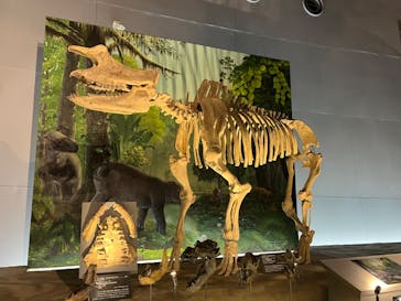 福井県立恐竜博物館に投稿された画像（2024/8/7）