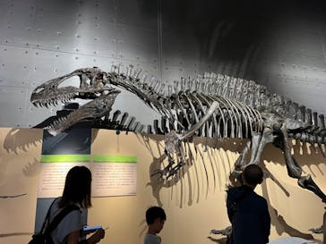 福井県立恐竜博物館に投稿された画像（2024/8/7）