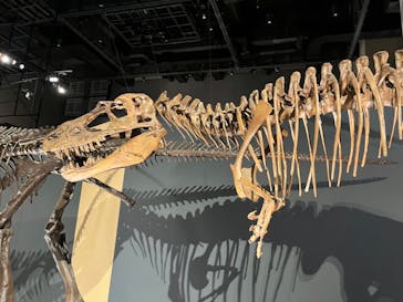 福井県立恐竜博物館に投稿された画像（2024/8/7）