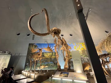 福井県立恐竜博物館に投稿された画像（2024/8/7）