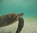 元気玉に投稿された画像（2024/8/7）