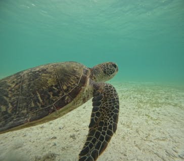 元気玉に投稿された画像（2024/8/7）