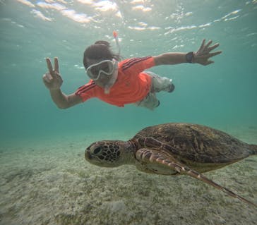 元気玉に投稿された画像（2024/8/7）