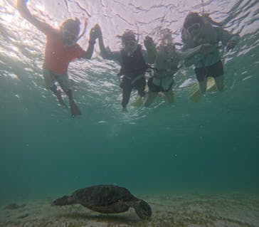 元気玉に投稿された画像（2024/8/7）