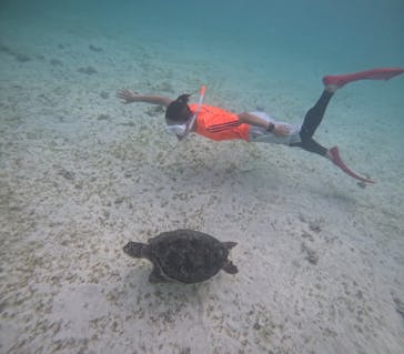 元気玉に投稿された画像（2024/8/7）