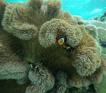 元気玉に投稿された画像（2024/8/7）