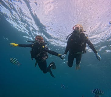 武藤潜水に投稿された画像（2024/8/7）