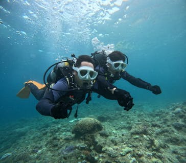 沖縄マリンサービス碧に投稿された画像（2024/8/7）