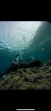 武藤潜水に投稿された画像（2024/8/7）