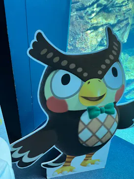 仙台うみの杜水族館に投稿された画像（2024/8/7）