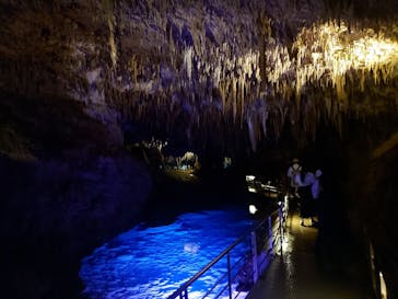 おきなわワールドに投稿された画像（2024/8/7）