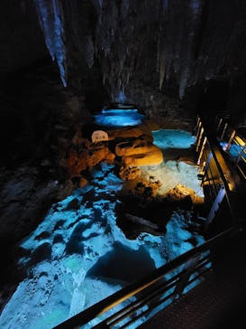 おきなわワールドに投稿された画像（2024/8/7）