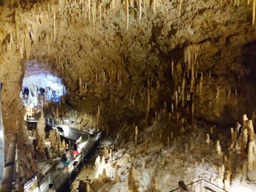 おきなわワールドに投稿された画像（2024/8/7）