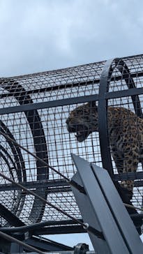 沖縄こどもの国に投稿された画像（2024/8/7）