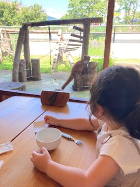 秋吉台自然動物公園 サファリランドに投稿された画像（2024/8/7）