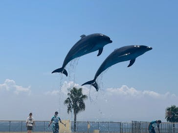 マリンワールド海の中道に投稿された画像（2024/8/7）