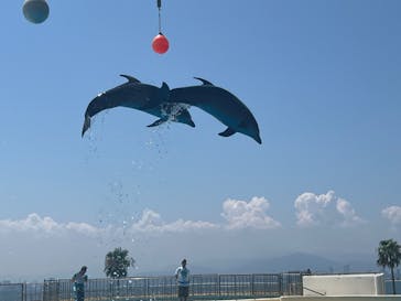 マリンワールド海の中道に投稿された画像（2024/8/7）