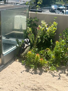 マリンワールド海の中道に投稿された画像（2024/8/7）