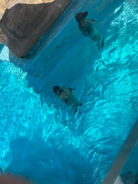 マリンワールド海の中道に投稿された画像（2024/8/7）