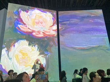 モネ＆フレンズ・アライブに投稿された画像（2024/8/7）